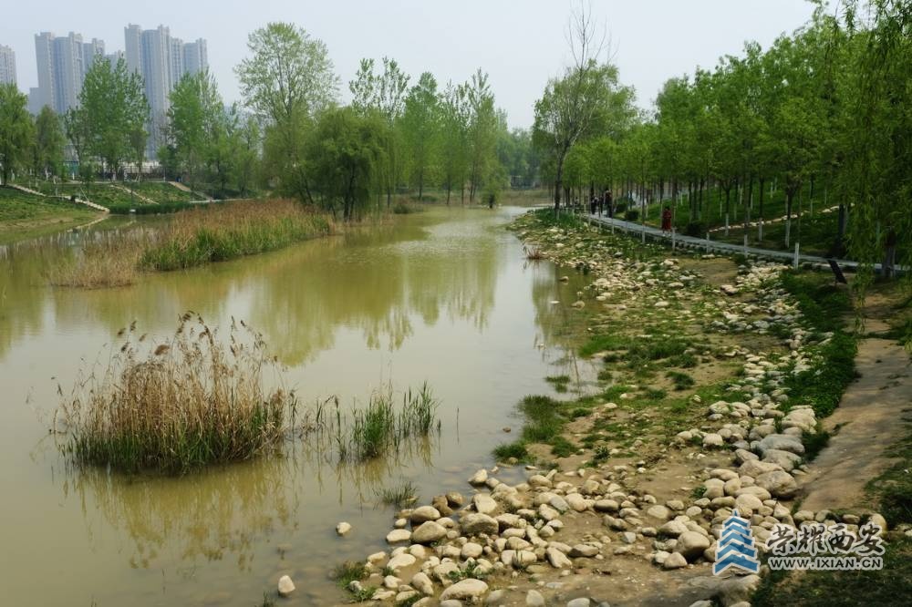 _柳青广场 严建设016.JPG