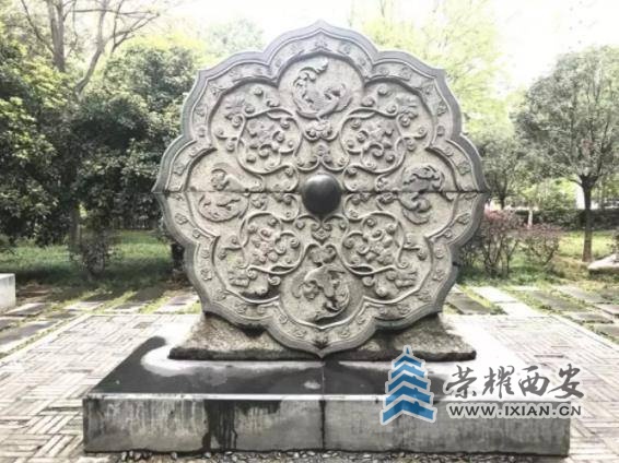 图片18.jpg