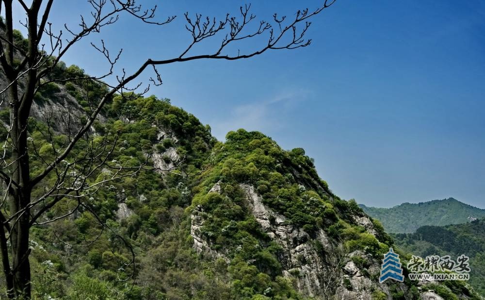 _翠华山 严建设023 .JPG