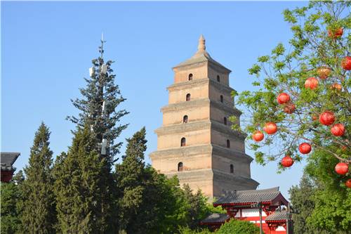 DSC_0126_副本.jpg