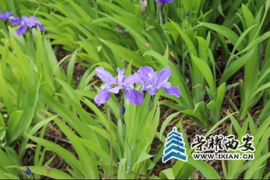 ?url=http%3A%2F%2Fdingyue.ws.126.net%2F2021%2F0419%2Fa8524a59p00qrsmol00cdd000f700a5p.jpg
