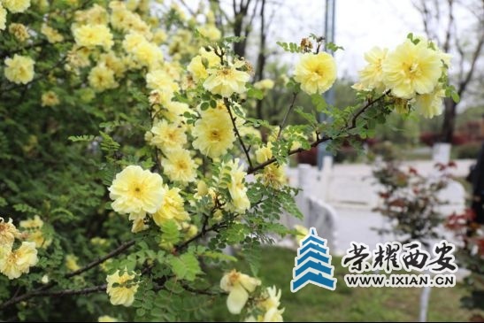 ?url=http%3A%2F%2Fdingyue.ws.126.net%2F2021%2F0419%2F7eb46657p00qrsmom00cad000f700a5p.jpg
