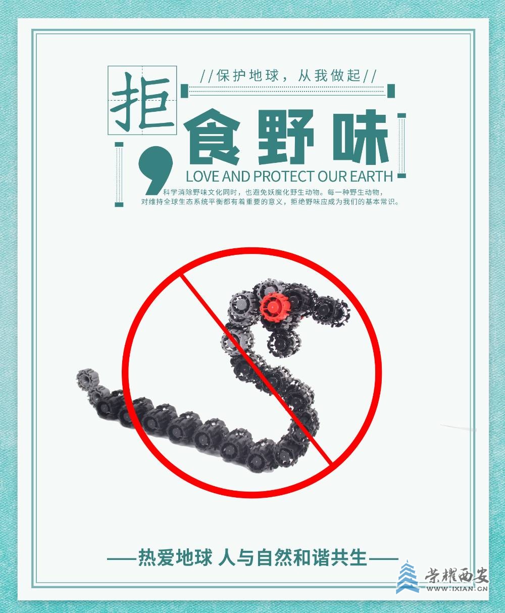小瓶盖拼装积木乐高类拼装作品交通工具优秀作品榫卯积木盖子小瓶盖积木益智世界地球日.jpg