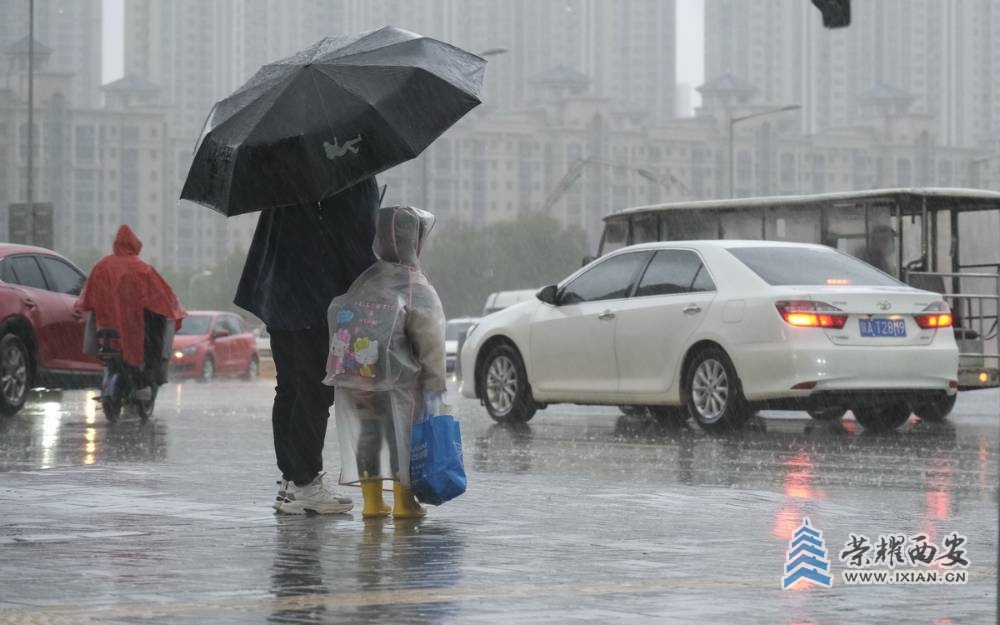 _大雨 严建设8.JPG