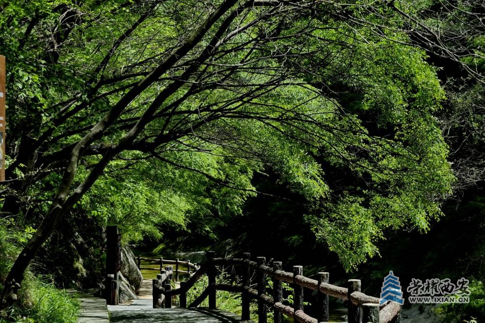 _太平国家森林公园 严建设0009.JPG