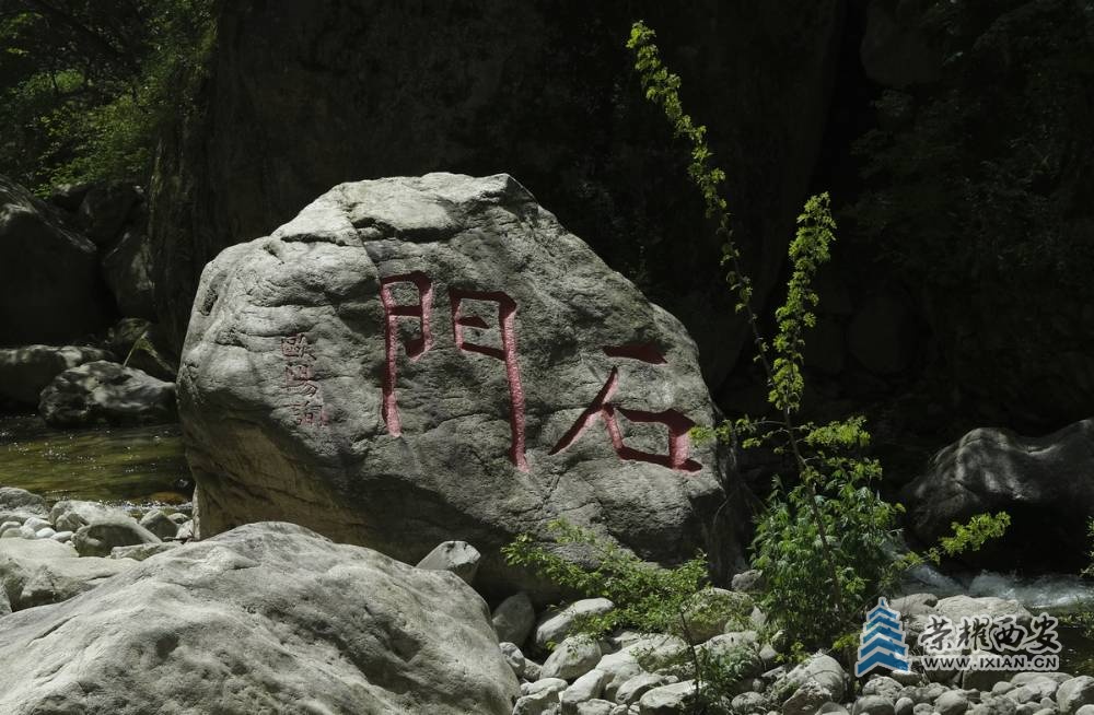 _太平国家森林公园 严建设0036.JPG