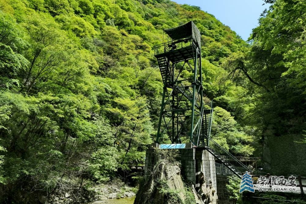_太平国家森林公园 严建设0049.JPG