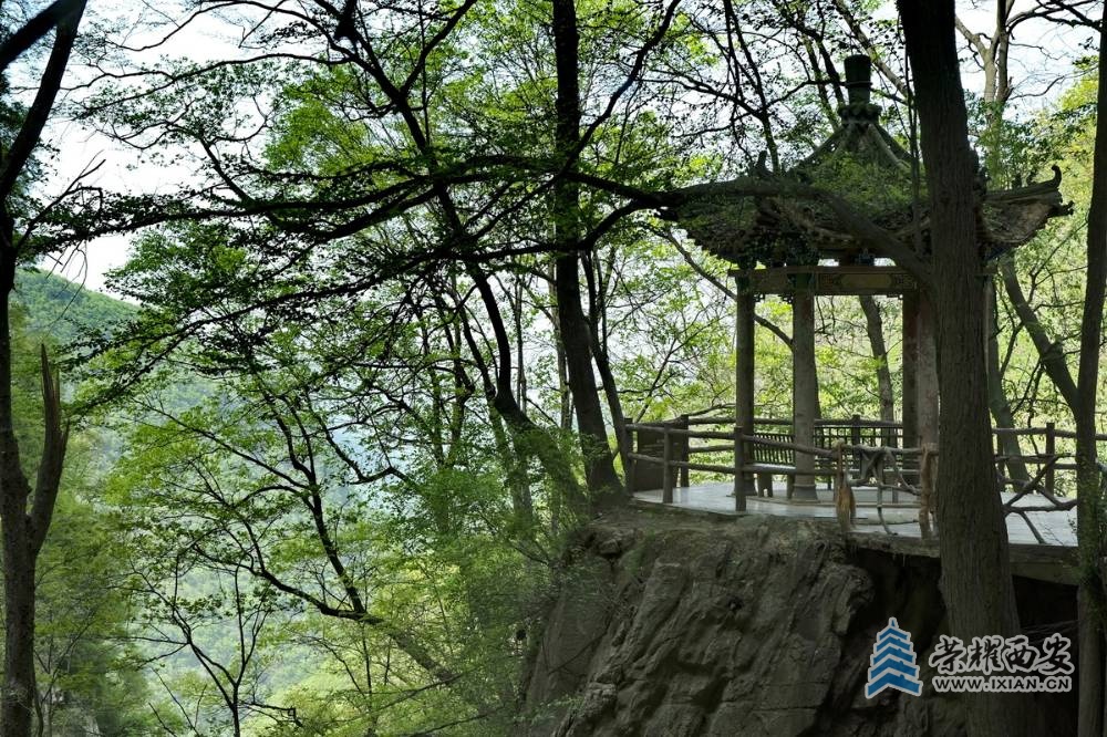 _太平国家森林公园 严建设0063.JPG
