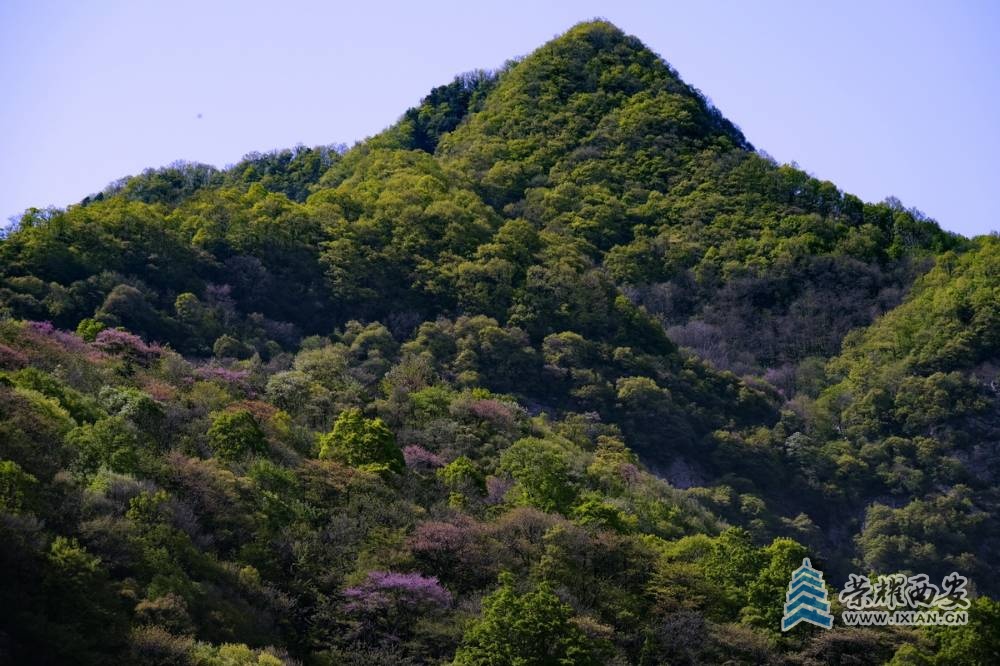 _太平国家森林公园 严建设0072.JPG