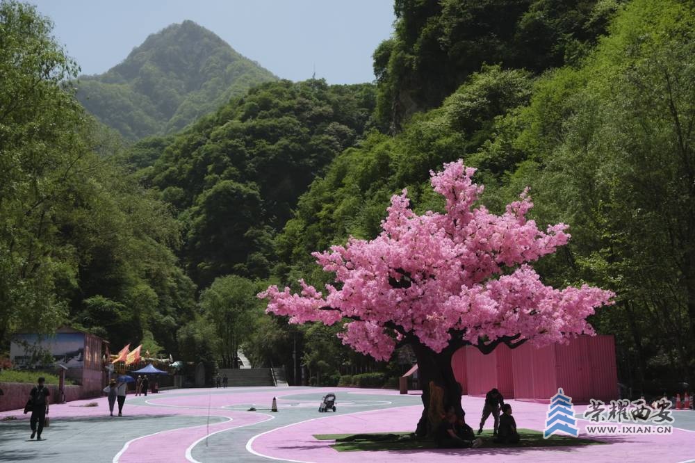 _太平国家森林公园 严建设0087.JPG