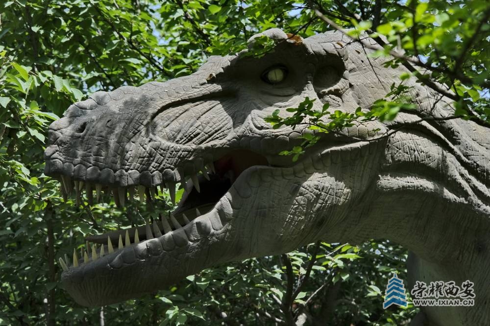 西安阿姑泉恐龙乐园图片