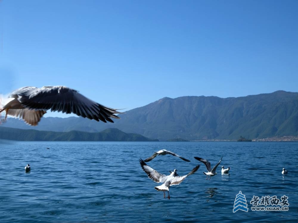 DSCF9096.jpg