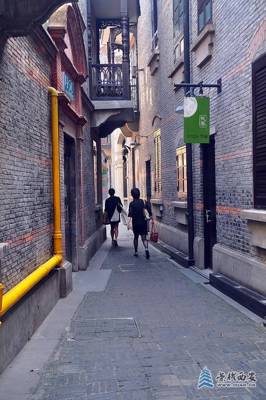 DSC_0741_conew1.jpg
