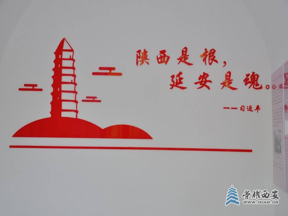 DSC_0114_conew1.jpg