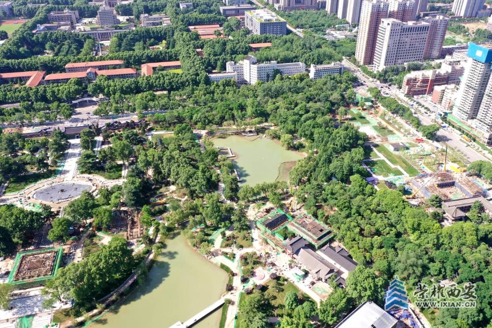 DJI_0674_副本.jpg