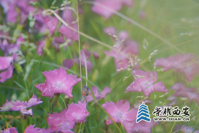 ?url=http%3A%2F%2Fdingyue.ws.126.net%2F2021%2F0530%2F8962686ep00qtwt4a00qgc000u000k0m.jpg