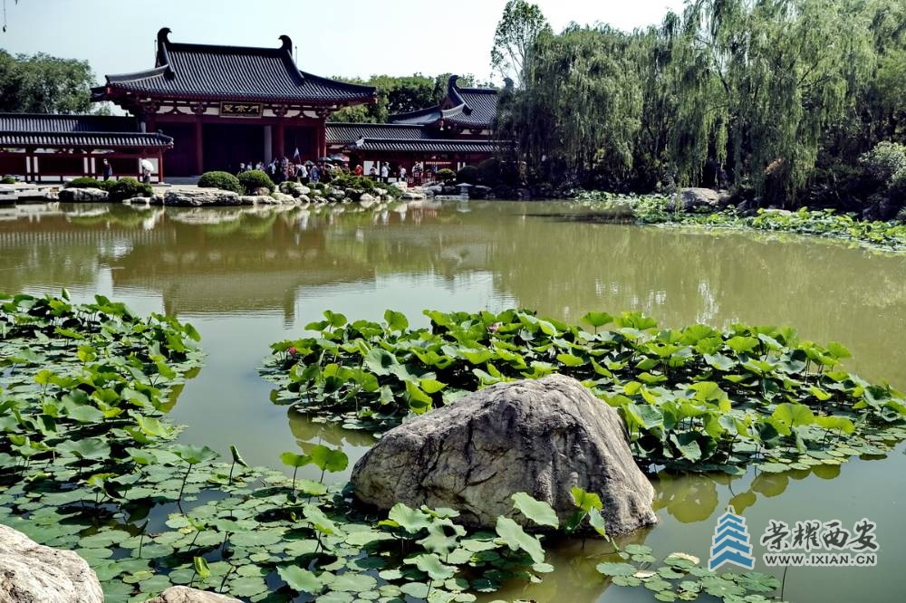 _华清宫 严建设11.JPG