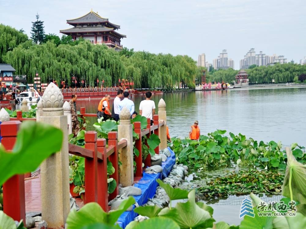 DSC_0093_conew1.jpg