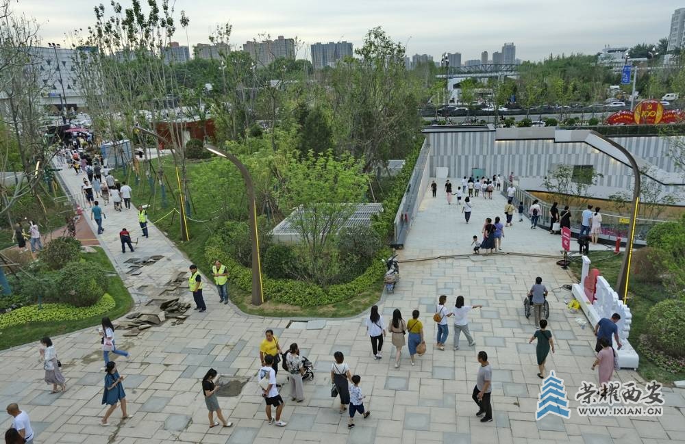 _幸福林带 严建设26.JPG