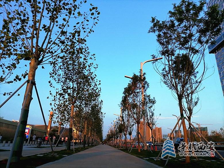 微信图片_20210712073913_副本.jpg