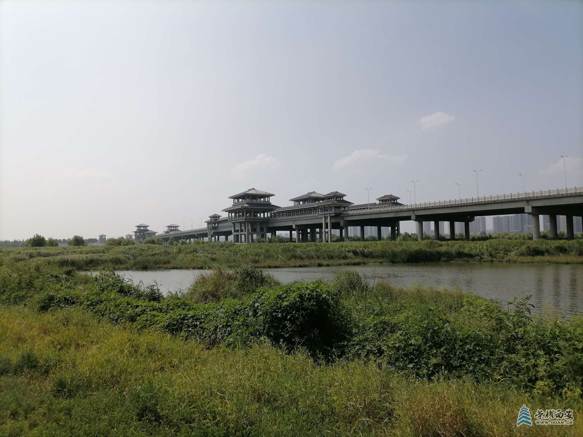 front2_0_FotnN0vR3j455SqCfpBXqnwxQF0m.1629067846.jpg