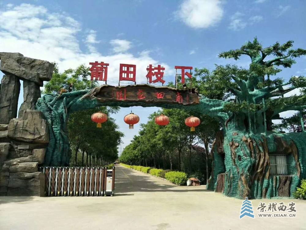 图片9.jpg