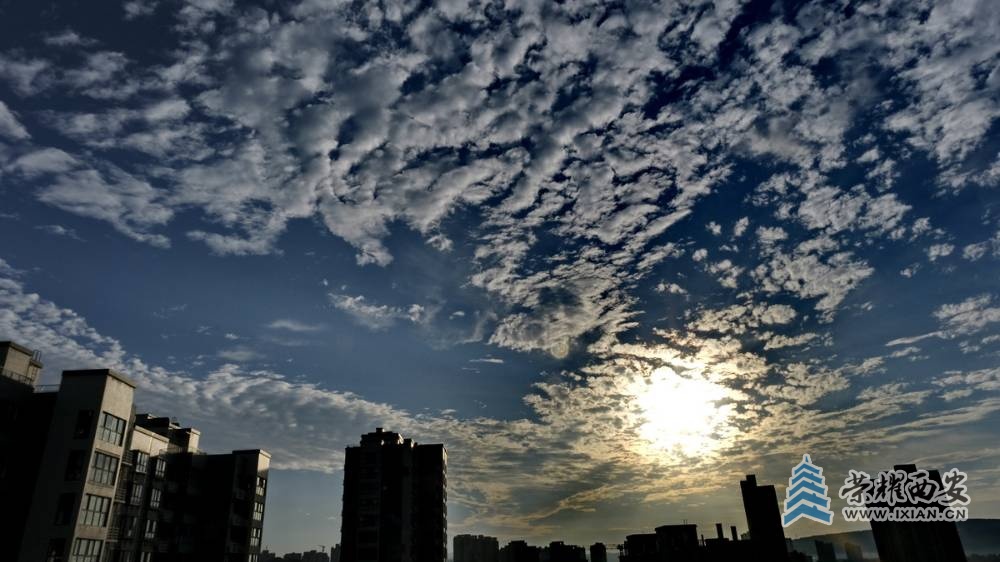 _朝霞 严建设0013.JPG