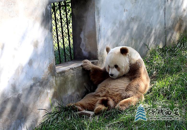 微信图片_20211003212412_副本.jpg