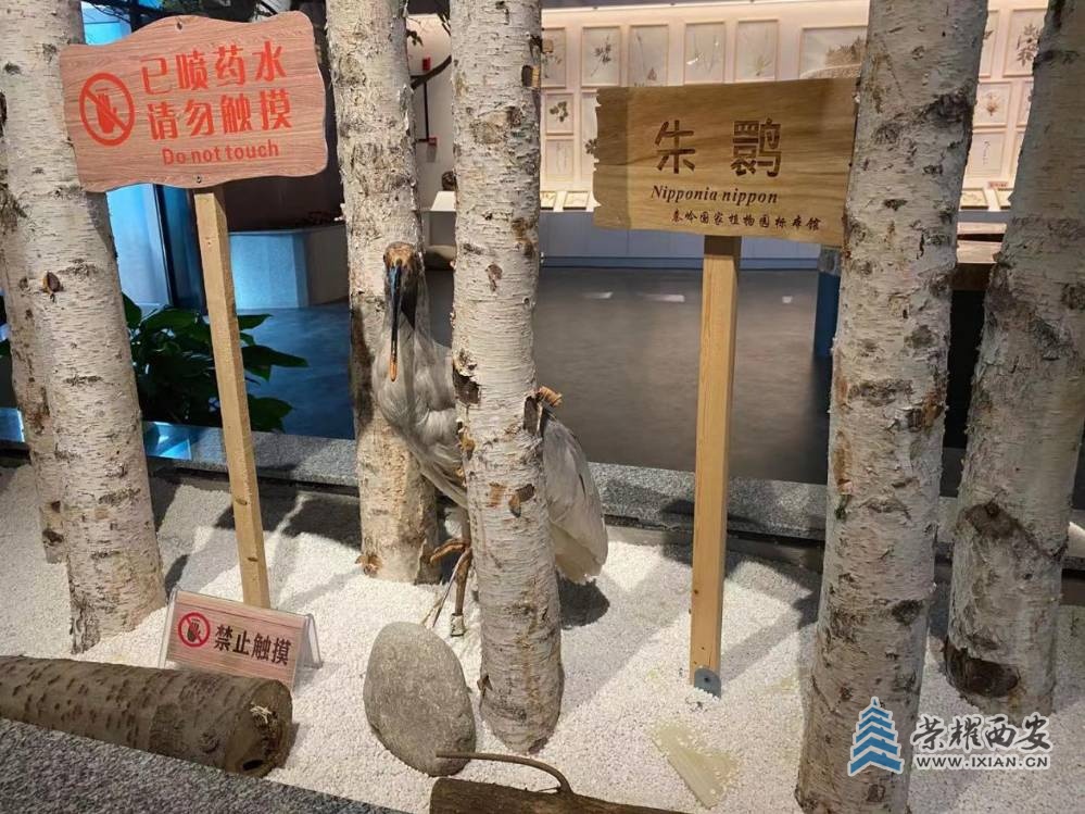 图片16.jpg