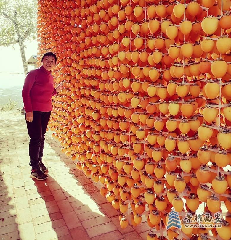 微信图片_20211030110828_副本.jpg