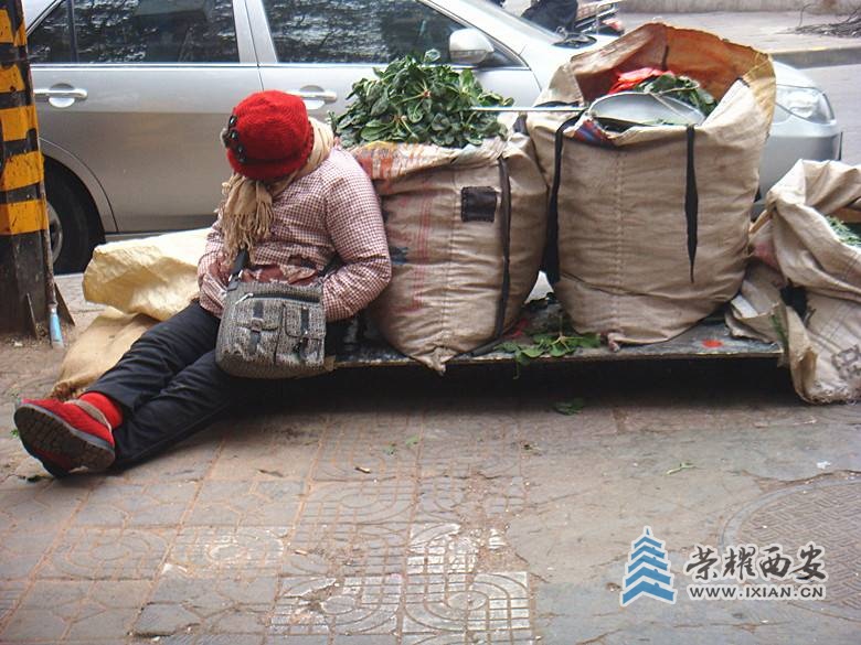 DSC08288_副本.jpg