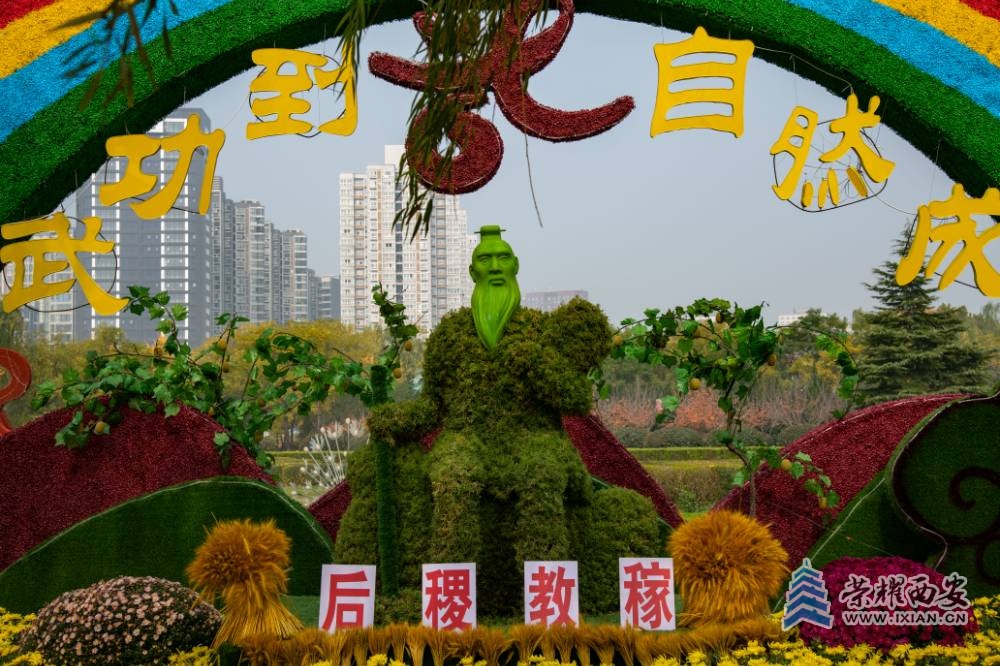 DSC_9948.jpg