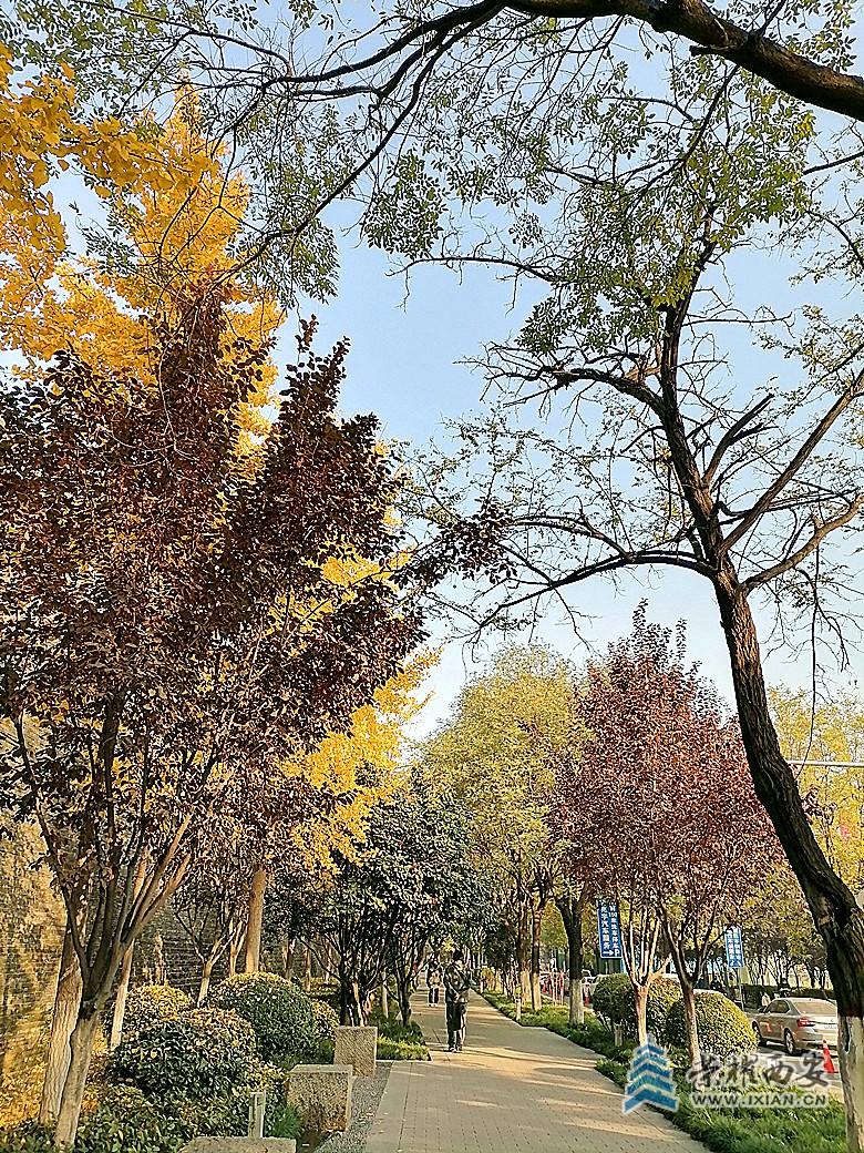 微信图片_20211117171958_副本.jpg
