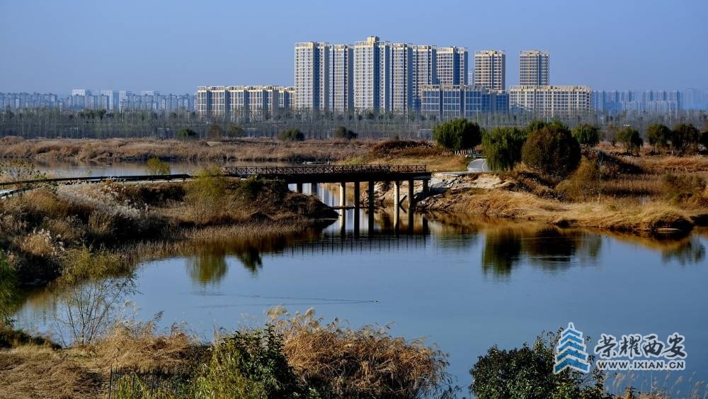 -西安 严建设0022.JPG