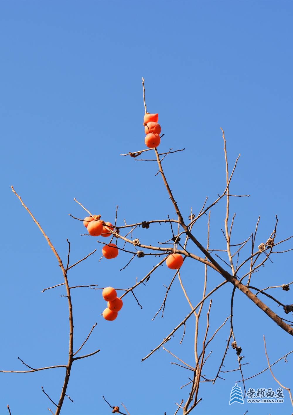 DSC_0846.JPG