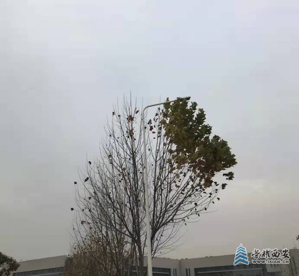 微信图片_20211208134433.jpg