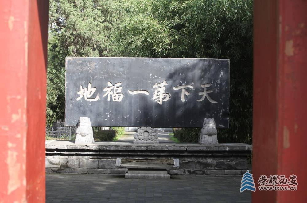 图片24.jpg