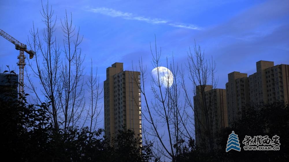 西安封控日记  严建设0005.JPG