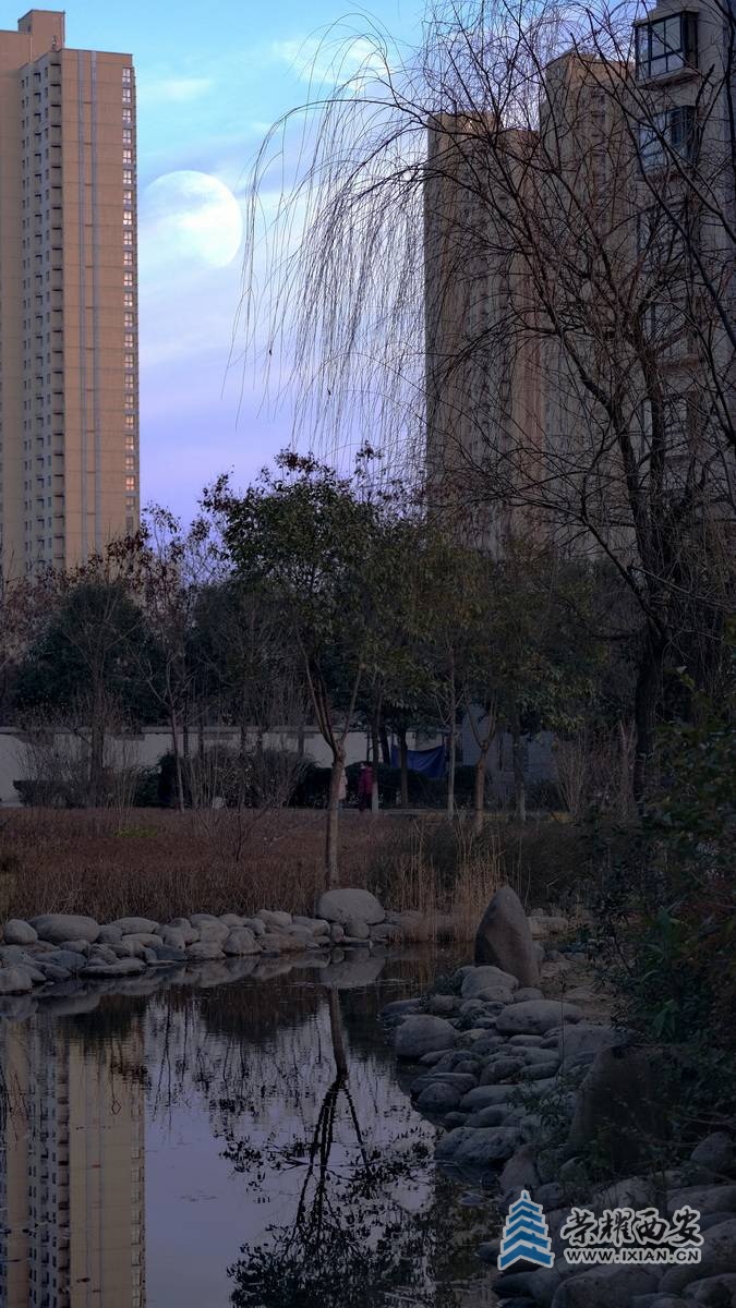 西安封控日记  严建设0017.JPG