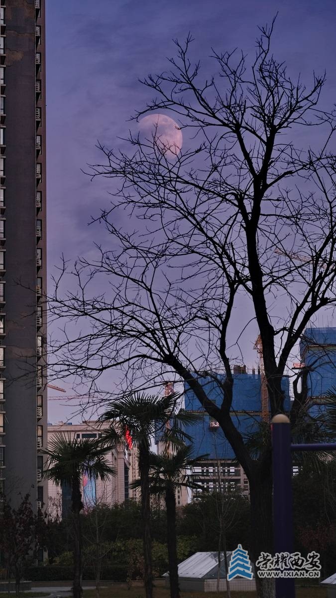 西安封控日记  严建设0023.JPG