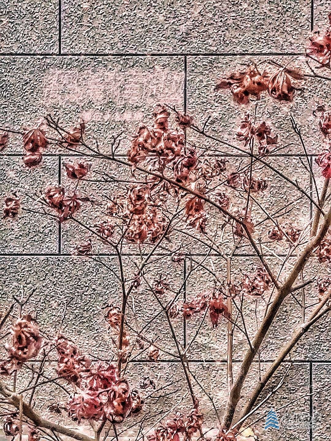 20220114190335front2_0_627177_FjByrMAVQX303vqcK2OnO3rKYK-c.jpg