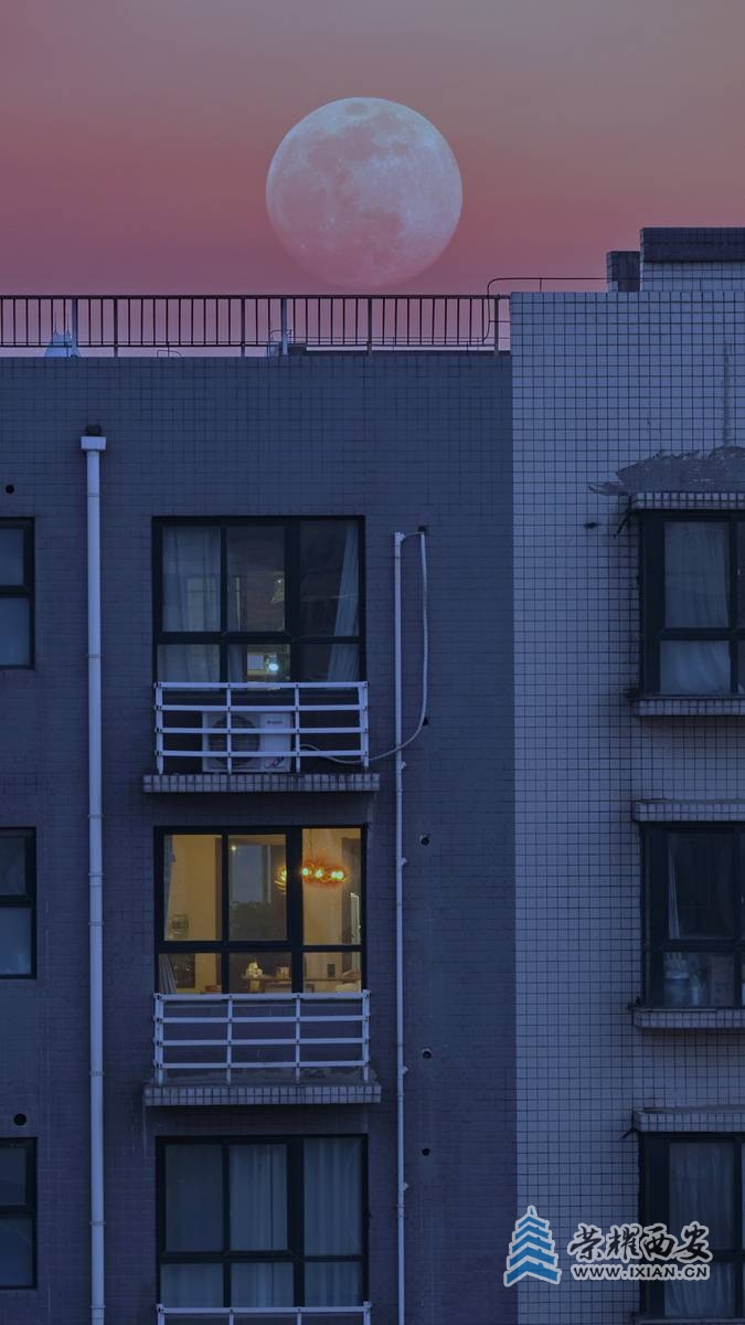 封城日记 严建设0039.JPG