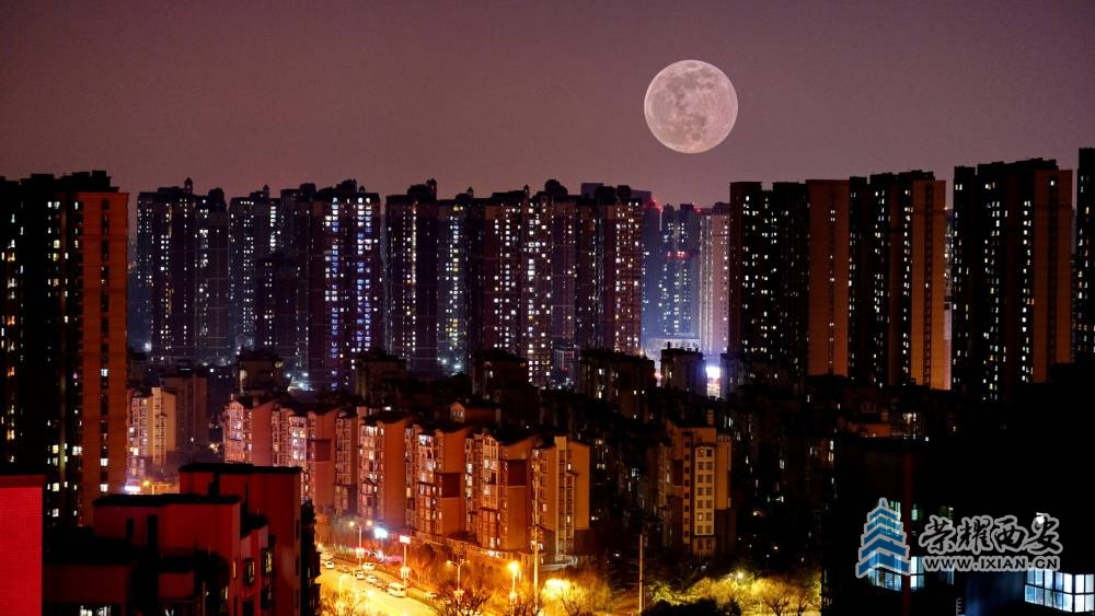 明月夜 严建设18.JPG