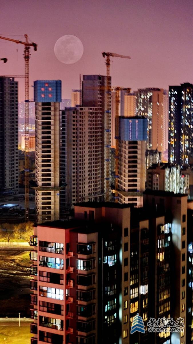 明月夜 严建设20.JPG