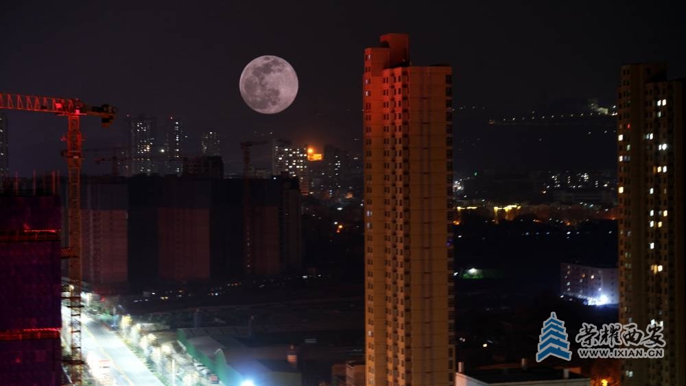 明月夜 严建设25.JPG