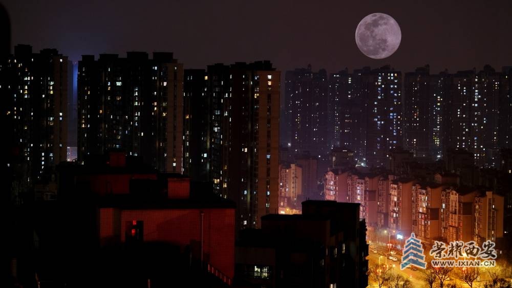 明月夜 严建设31.JPG