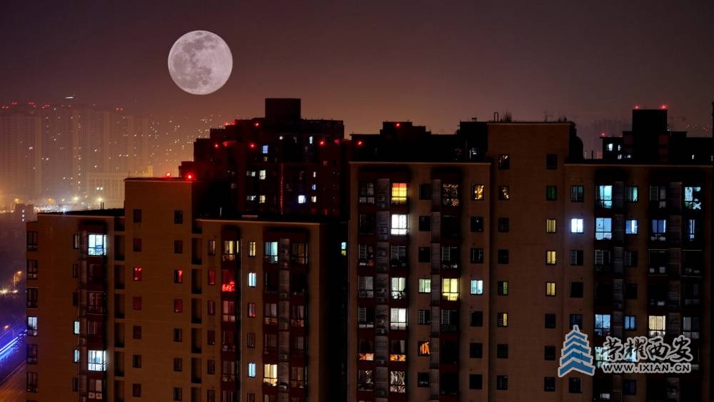 明月夜 严建设37.JPG