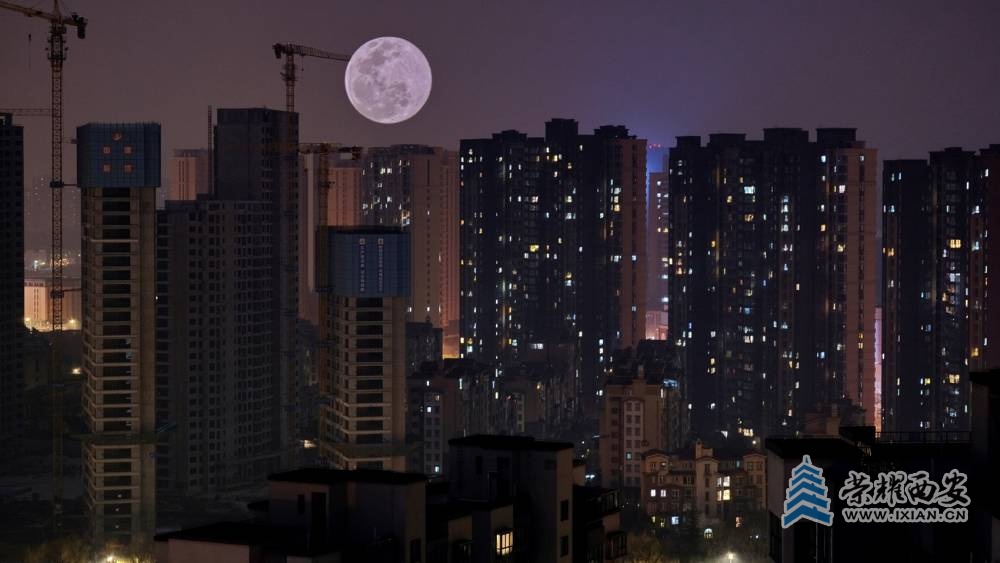 明月夜 严建设39.JPG