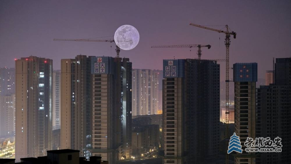 明月夜 严建设41.JPG