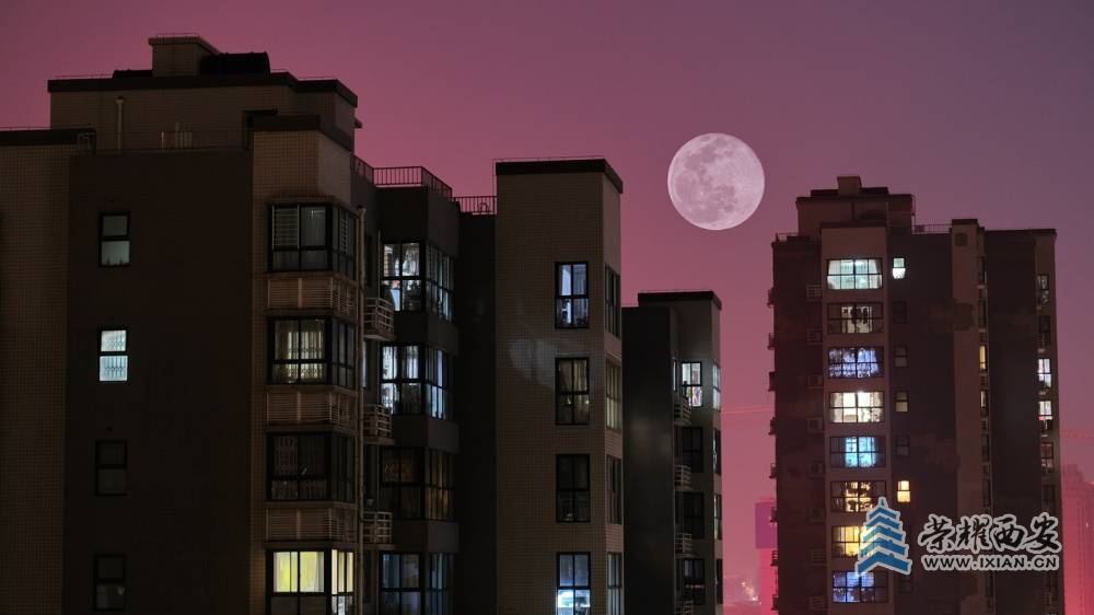 西安封控日记 严建设25.JPG